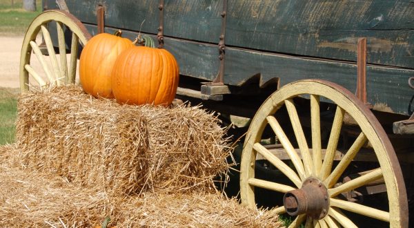 Take This Horse-Drawn Hayride Near Cleveland For A Picture Perfect Fall Day