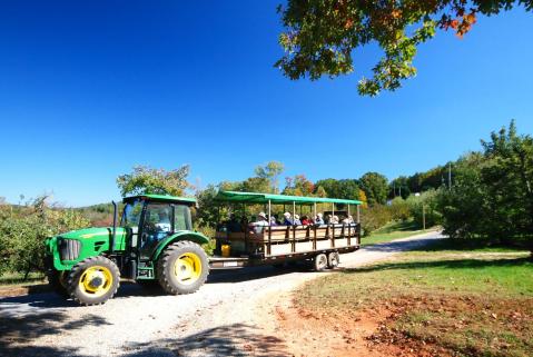 Nothing Says Fall Is Here More Than A Visit To North Carolina's Charming Apple Orchard