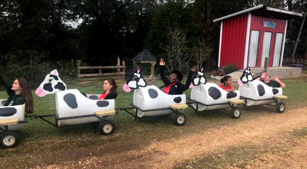 Visit This Barnyard In Alabama For A Picture-Perfect Fall Day