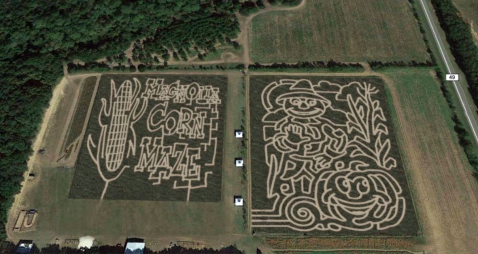Get Lost In These Two Awesome 8-Acre Corn Mazes In Alabama This Autumn