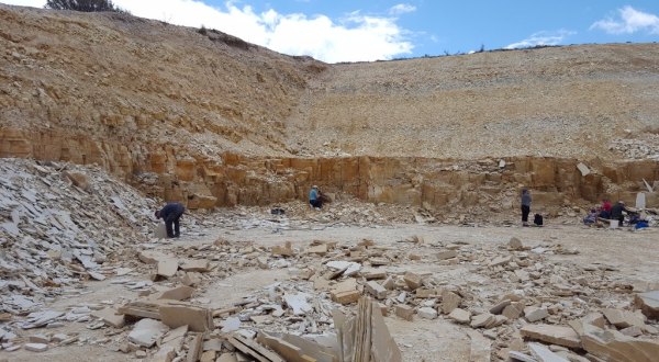 You’ll Love Digging For Fossils At This Unique Historic Site In Wyoming