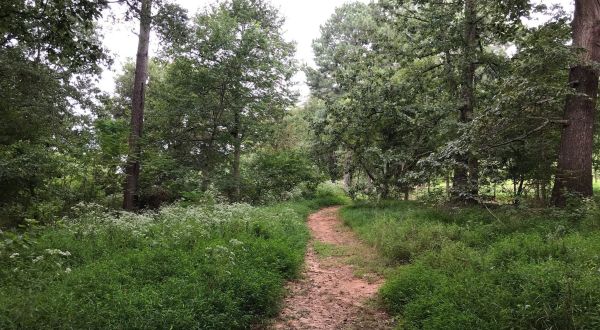 The One-Of-A-Kind Trail In Georgia That Will Take Hikers Through A Fabulous Farm