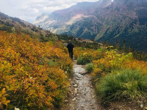 If You Can Only Hike 1 Montana Trail This Fall, You'll Want To Make It This One