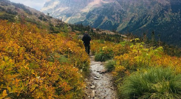 If You Can Only Hike 1 Montana Trail This Fall, You’ll Want To Make It This One