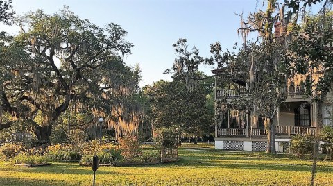 8 Delightful Parks Just Outside New Orleans That Are Perfect For A Fall Outing