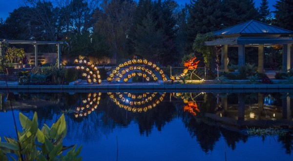 There’s A Glowing Pumpkin Trail Coming To Colorado And It’ll Make Your Fall Magical