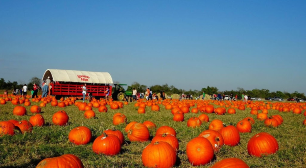 These 6 Pumpkin Patch Hayrides In Texas Are The Definition Of Fall Charm