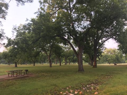 Stroll Through The Pecan Groves At This Majestic 300-Acre Park Near Austin