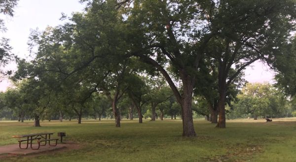 Stroll Through The Pecan Groves At This Majestic 300-Acre Park Near Austin