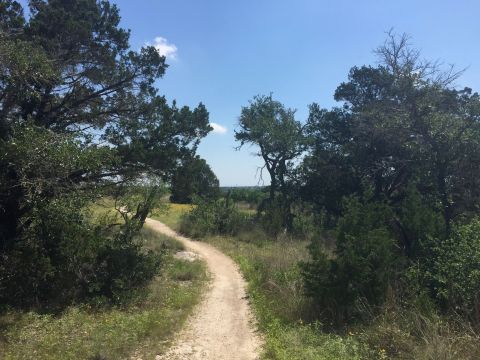The South Austin Park That's Perfect For Your Next Adventure