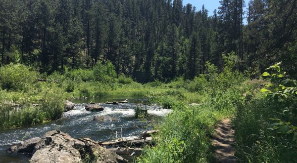 The Shady, Creekside Trail In South Dakota You’ll Want To Hike Again And Again