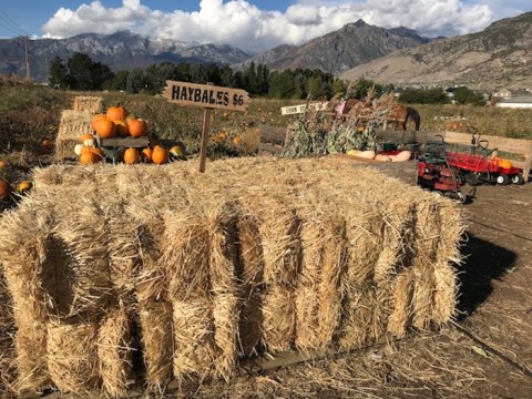 Make Your Autumn Awesome With A Visit To Utah's Little Known Pumpkin Park