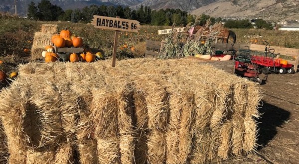 Make Your Autumn Awesome With A Visit To Utah’s Little Known Pumpkin Park