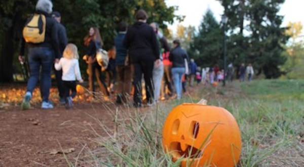 The Enchanting Halloween Hike In Oregon Your Whole Family Will Love