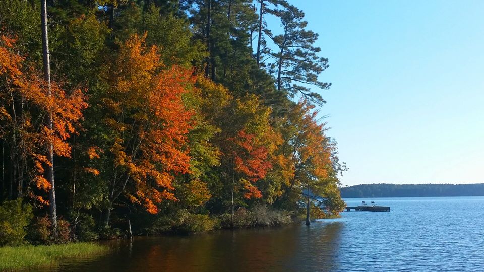7 Must-Haves to Make the Most of Fall in Louisiana