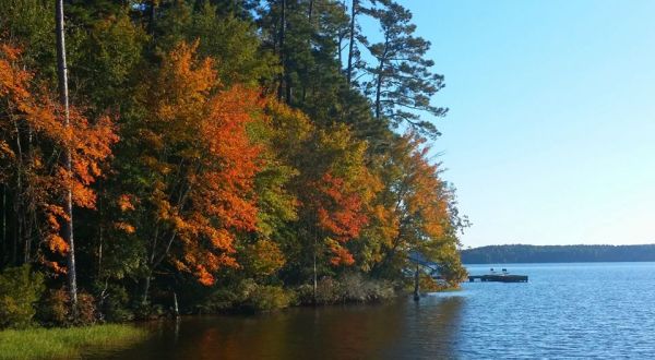 Fall Is Coming And These Are The 6 Best Places To See The Changing Leaves In Louisiana