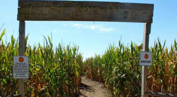 Get Lost In This Awesome 10-Acre Corn Maze In Nebraska This Autumn