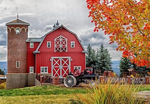 7 Welcoming Washington Farms To Visit For a Picture-Perfect Fall Day