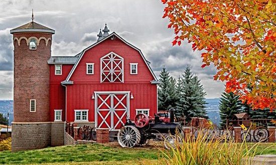 7 Welcoming Washington Farms To Visit For a Picture-Perfect Fall Day