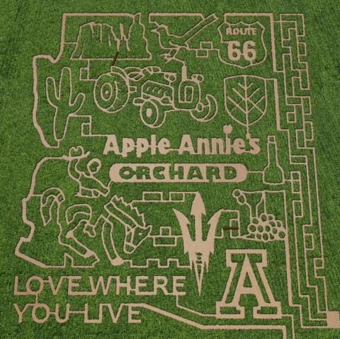 Get Lost In This Awesome 20-Acre Corn Maze In Arizona This Autumn