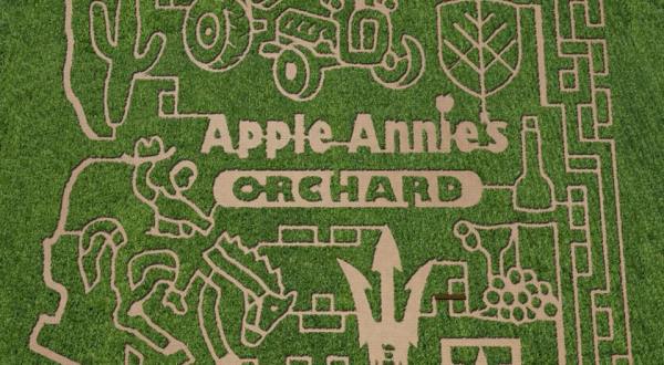 Get Lost In This Awesome 20-Acre Corn Maze In Arizona This Autumn