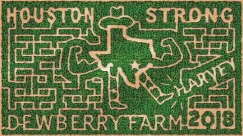 Get Lost In This Awesome 8-Acre Corn Maze In Texas This Autumn