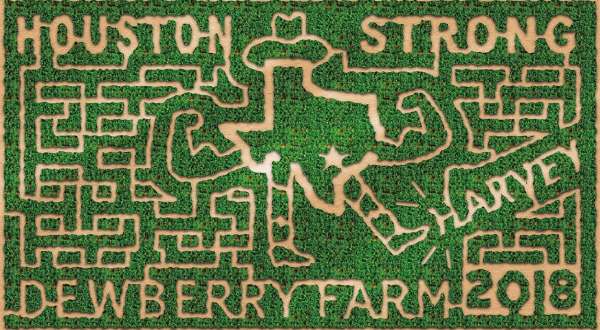 Get Lost In This Awesome 8-Acre Corn Maze In Texas This Autumn