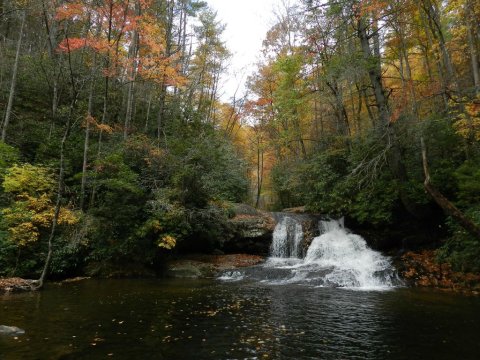Visit The Smallest State Park In Georgia For An Autumn Adventure That Shouldn't Be Missed