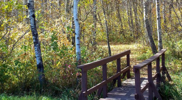 The Awesome Hike That Will Take You To The Most Spectacular Fall Foliage In North Dakota