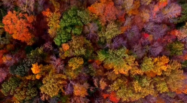 Someone Flew A Drone High Above New Jersey And Captured The Most Breathtaking Footage