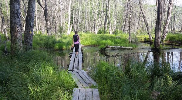 This New Hampshire Park Has Endless Boardwalks And You’ll Want To Explore Them All