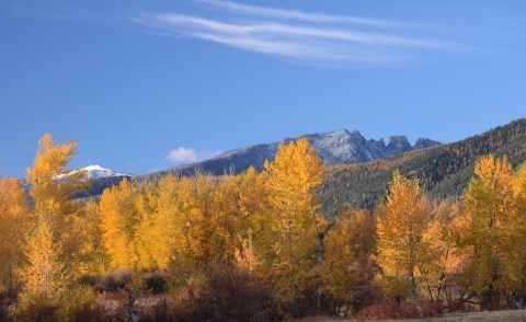 These 7 Enchanting Montana Drives Are Perfect For A Fall Day
