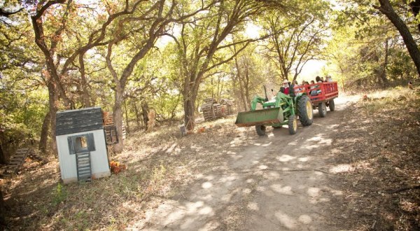 A Trip To This Charming Oklahoma Pumpkin Patch Makes For An Excellent Fall Outing
