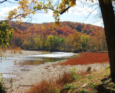 Take A Trip Down This Oklahoma River That Comes Alive With Fall Colors