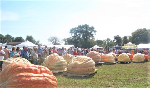 Rhode Island's Giant Pumpkin Festival Is Record Breaking And You Can't Miss It
