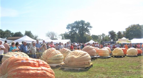 Rhode Island’s Giant Pumpkin Festival Is Record Breaking And You Can’t Miss It