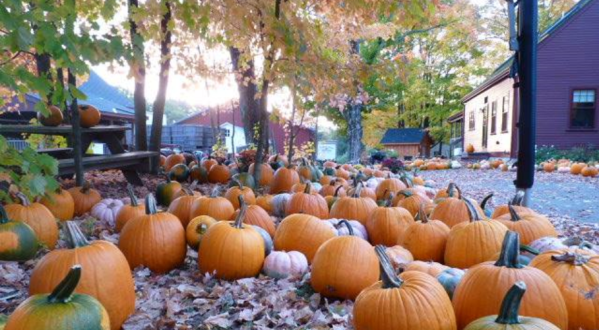 Nothing Says Fall Is Here More Than A Visit To Rhode Island’s Charming Pumpkin Farm