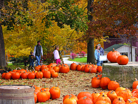 The Charming Pumpkin Festival Near Cleveland That Will Make Your Autumn Awesome