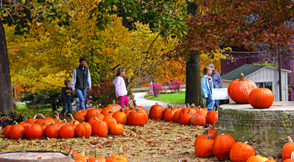 The Charming Pumpkin Festival Near Cleveland That Will Make Your Autumn Awesome