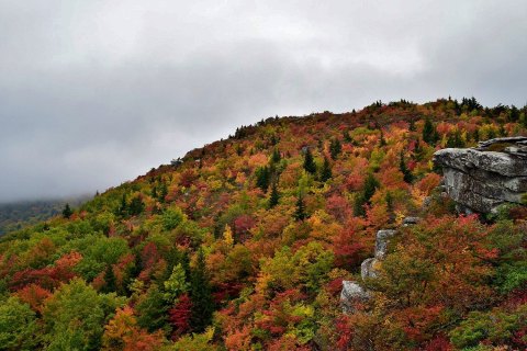 The Awesome Hike That Will Take You To The Most Spectacular Fall Foliage In North Carolina
