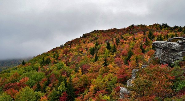 The Awesome Hike That Will Take You To The Most Spectacular Fall Foliage In North Carolina