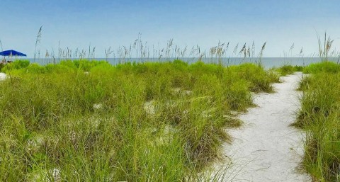 The Trek To This Secluded Beach In Florida Is Positively Amazing