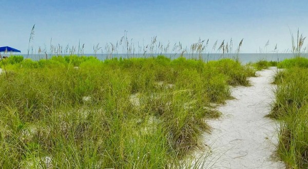 The Trek To This Secluded Beach In Florida Is Positively Amazing