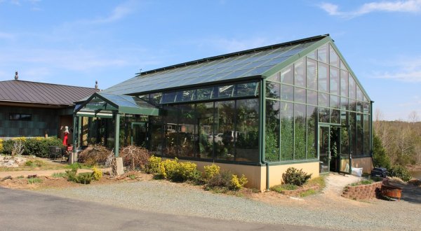 There’s A Glass House Winery Hiding In Virginia That’s Just Begging To Be Visited