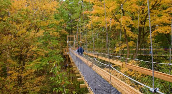 Fall Is Coming And These Are The 9 Best Places To See The Changing Leaves In Ohio
