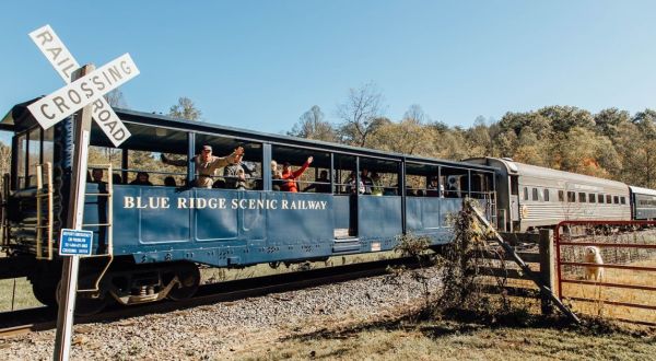 Don’t Miss Out On This Spectacular Fall Foliage Train Ride In Georgia