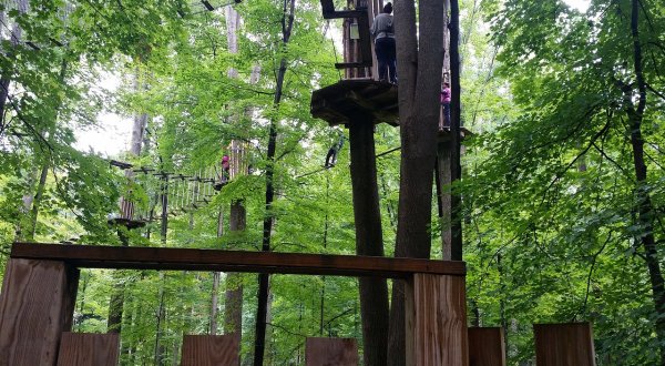 This Aerial Adventure Course In Ohio May Be The Most Fun You’ve Had In Ages