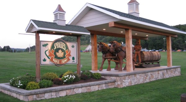 Nothing Says Fall Is Here More Than A Visit To New York’s Charming Maple Farm