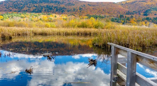 Here Are The 10 Best Vermont Towns For Viewing Fall Foliage