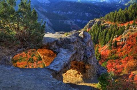 The Awesome Hike That Will Take You To The Most Spectacular Fall Foliage In Utah